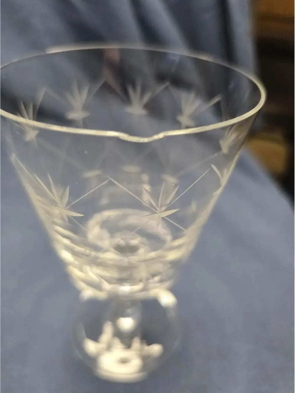 Vintage Chelsea by Ebeling & Reuss Etched Glass Water Goblets Set of 5